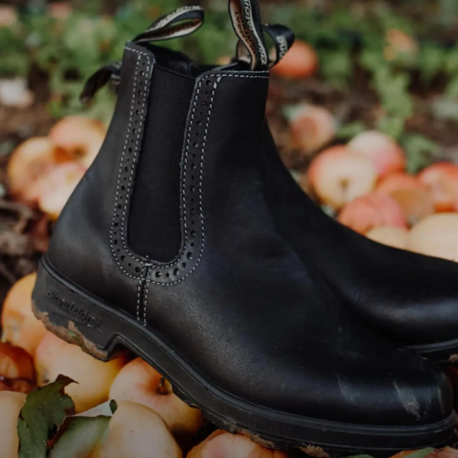 Blundstone High Top Chelsea Boots - Women