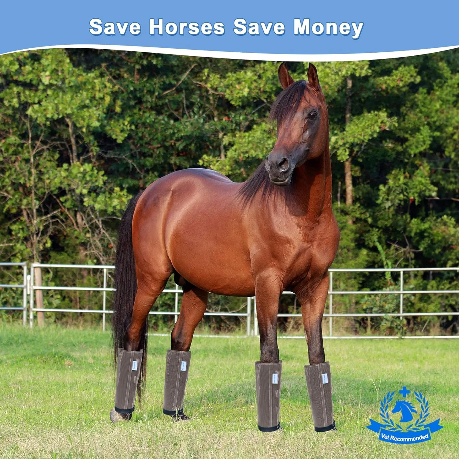 Mesh Horse Fly Boots Set of 4, Mesh Boots for Horses, Leggings for Horses, Reduce-Stomping, Breathable Mesh, Loose Fitting, Stay Up Not Sag, No Rub