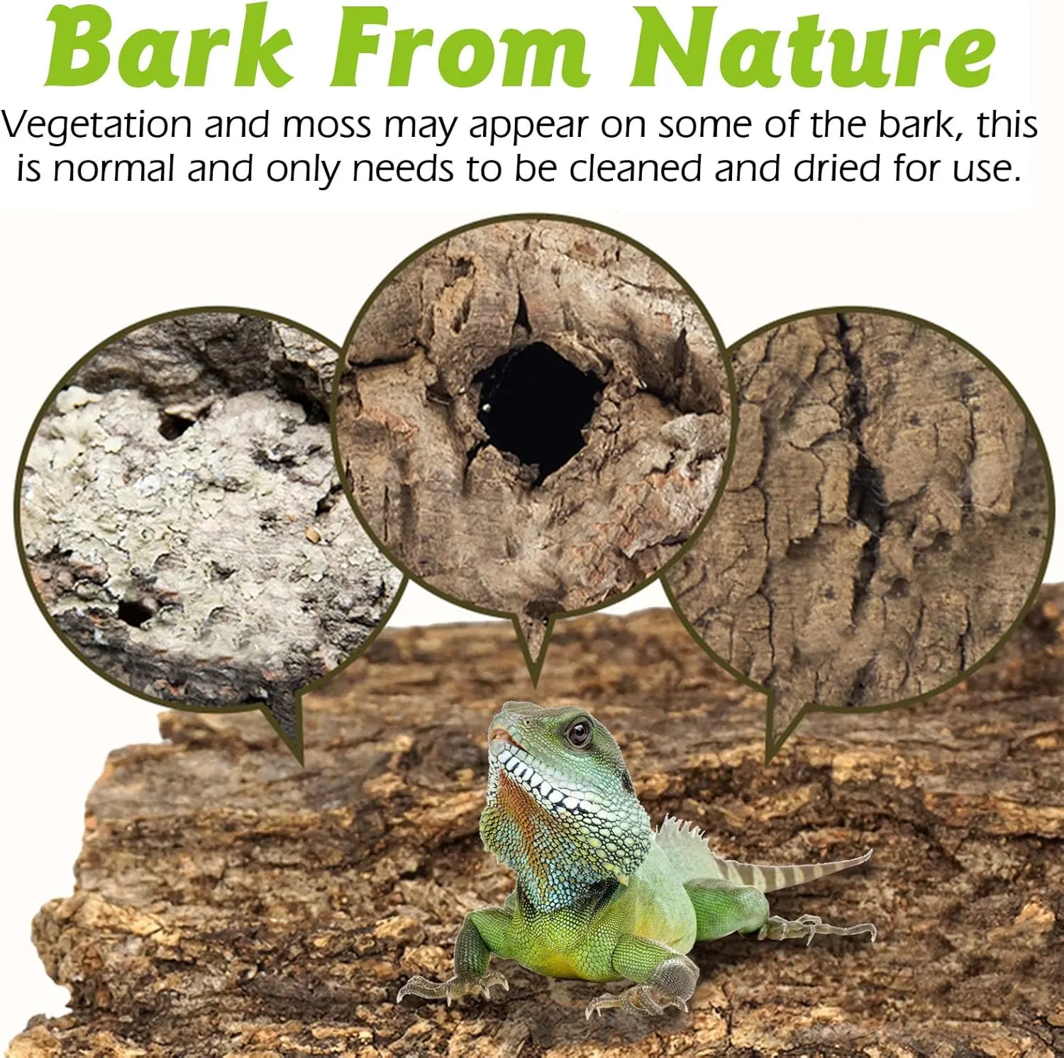 Reptile Cork Bark Bulk 1 Lb Reptile Bark Bedding Natural Flat Cork Wood Pieces Terrarium Substrate Tank Supplies for Bearded Dragon Snake Spiders Hermit Crabs Geckos Tortoise