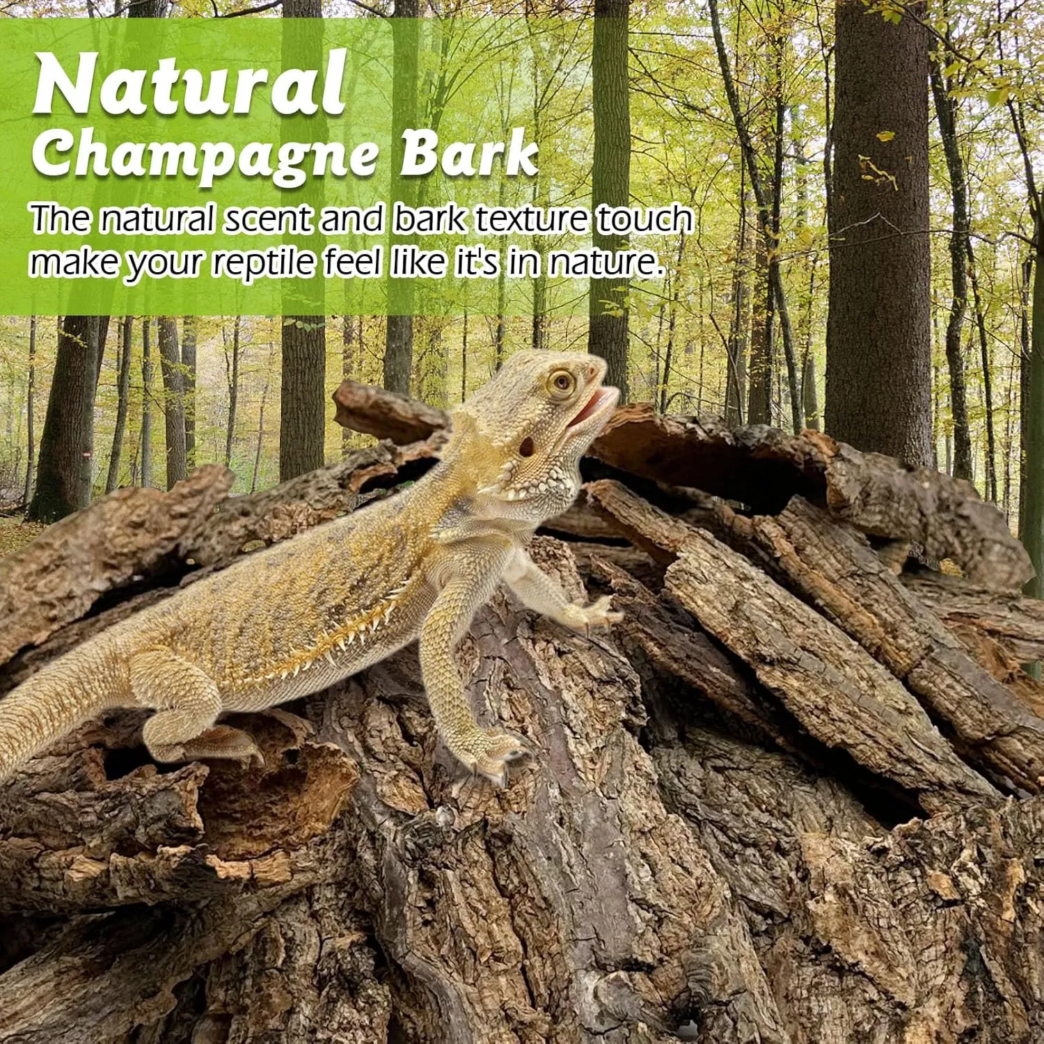 Reptile Cork Bark Bulk 1 Lb Reptile Bark Bedding Natural Flat Cork Wood Pieces Terrarium Substrate Tank Supplies for Bearded Dragon Snake Spiders Hermit Crabs Geckos Tortoise
