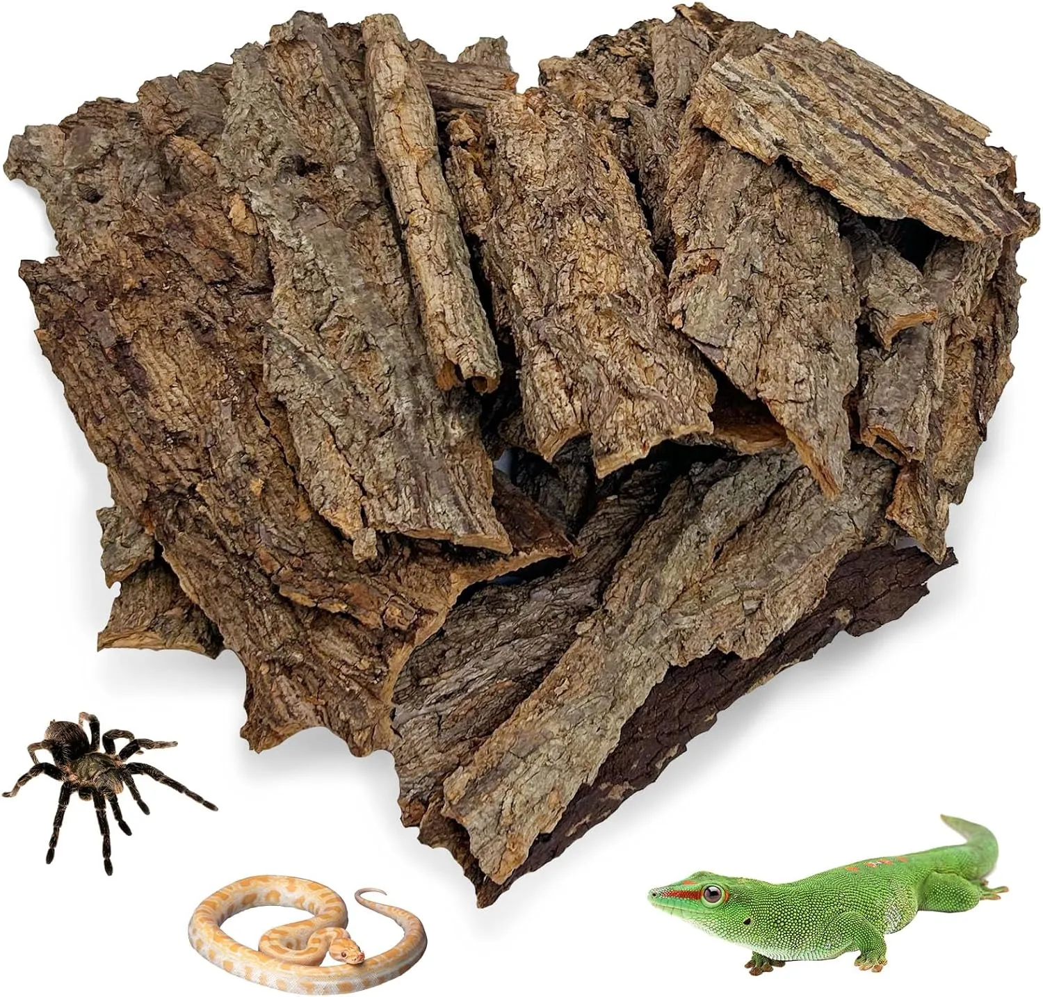Reptile Cork Bark Bulk 1 Lb Reptile Bark Bedding Natural Flat Cork Wood Pieces Terrarium Substrate Tank Supplies for Bearded Dragon Snake Spiders Hermit Crabs Geckos Tortoise